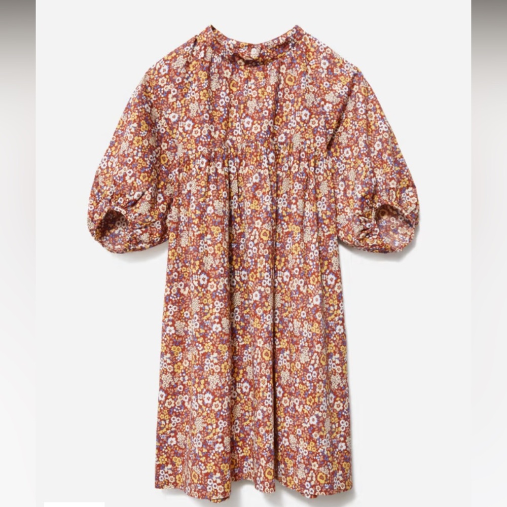 Everlane The Shirred Mini Dress